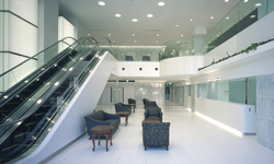 外来診療のご案内